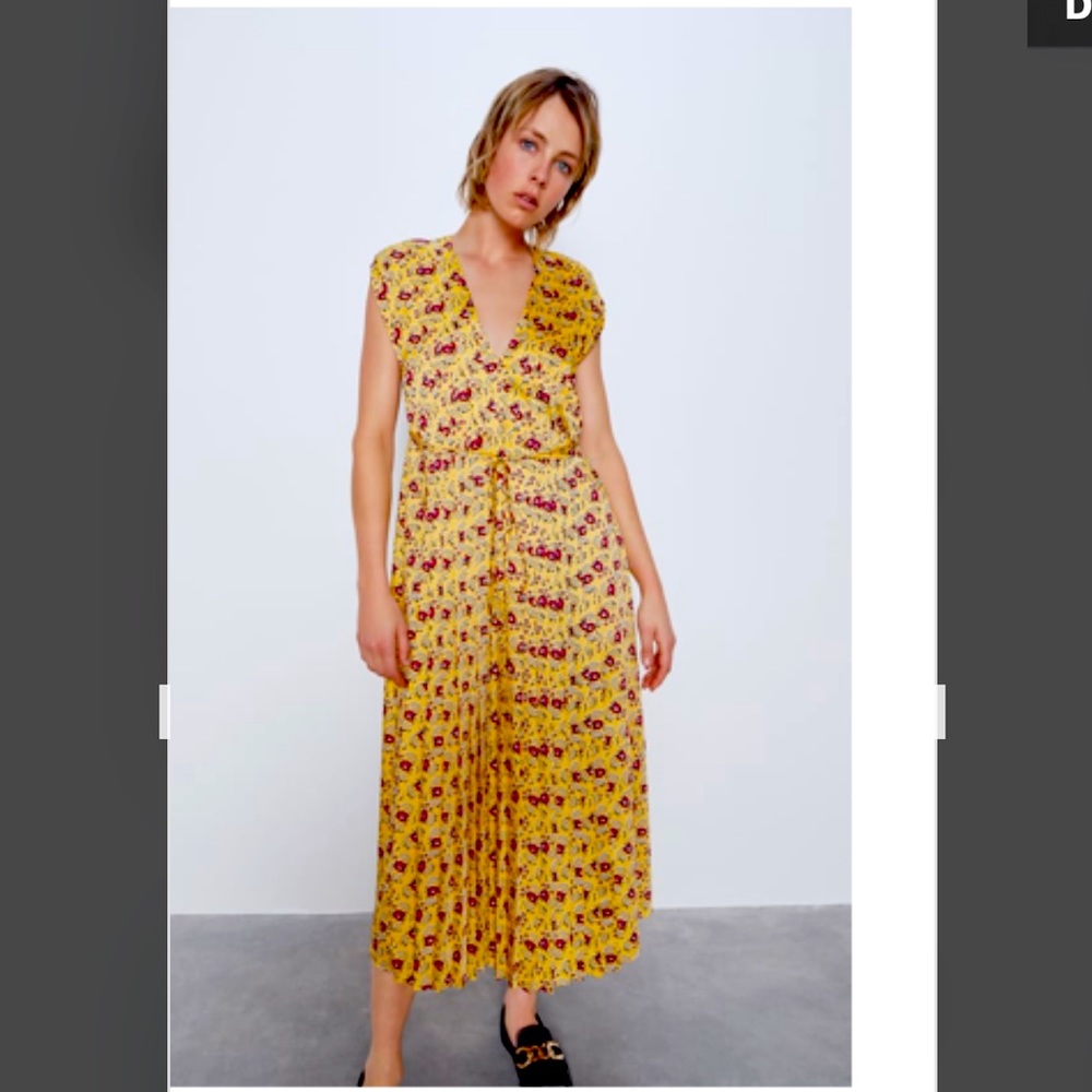 Zara dress